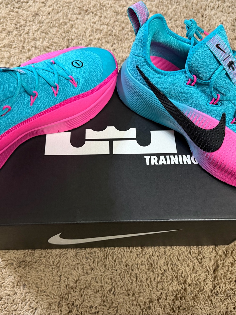 Nike Lebron TR 1 Dusty Cactus/Black - Pink Blast sz 11 NEW